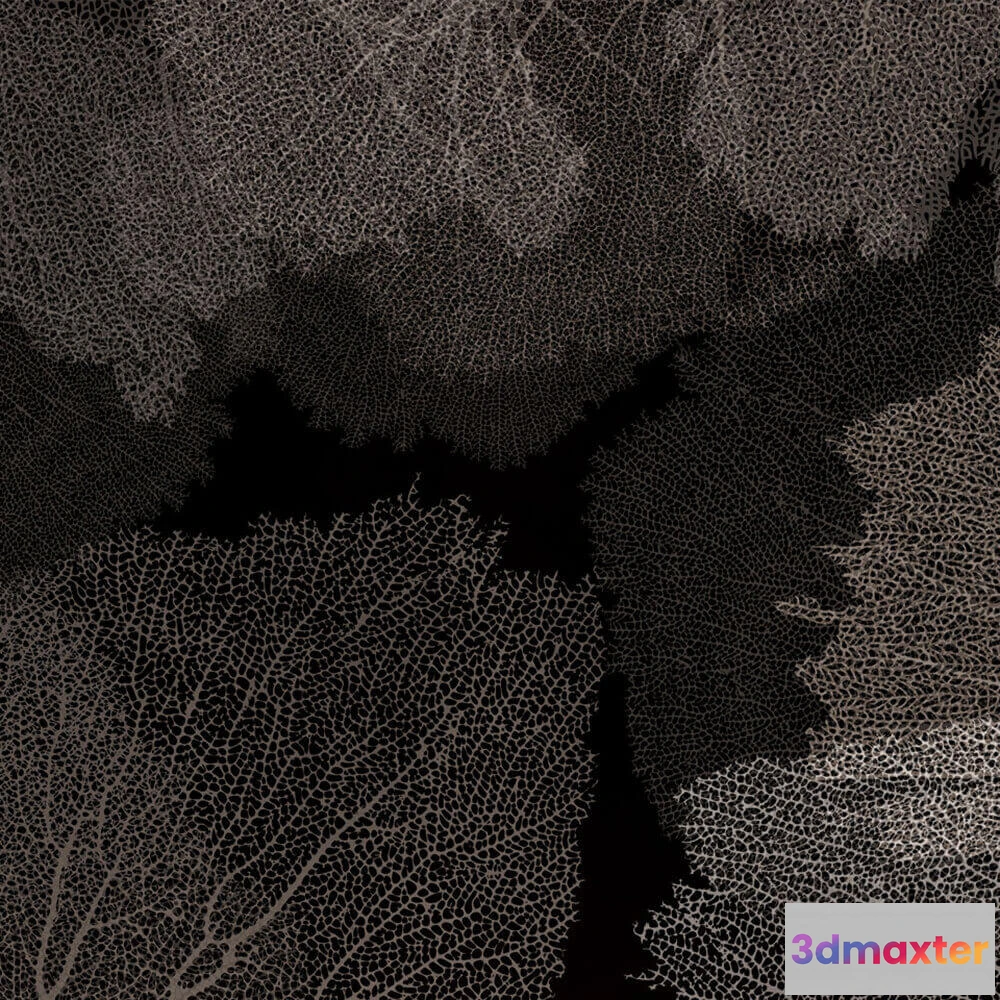 1681360 - Rimura - Wallpaper Corales 3D Max