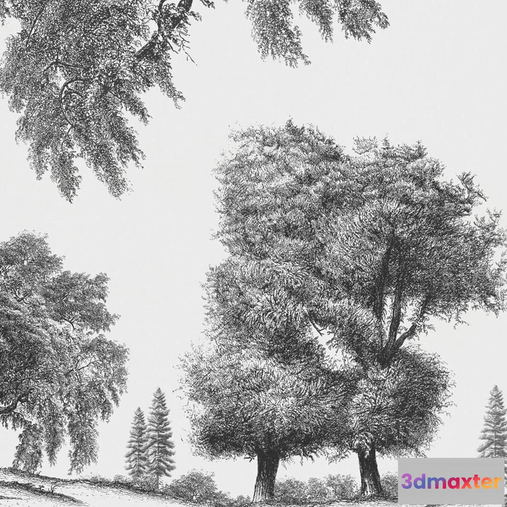 1681424 - Rimura - Wallpaper Arboribus 3D Max