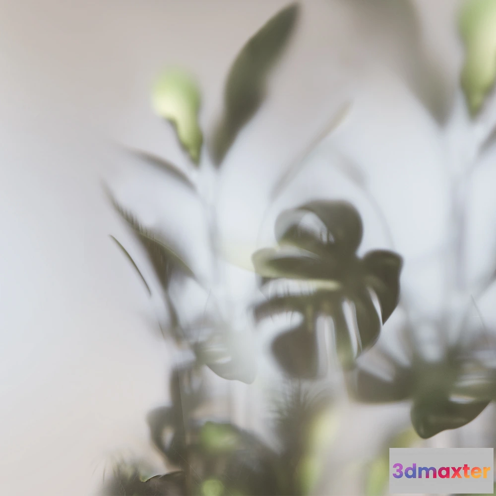 1682104 - Studijo Wallart - Wallpaper Greenhouse 3D Max