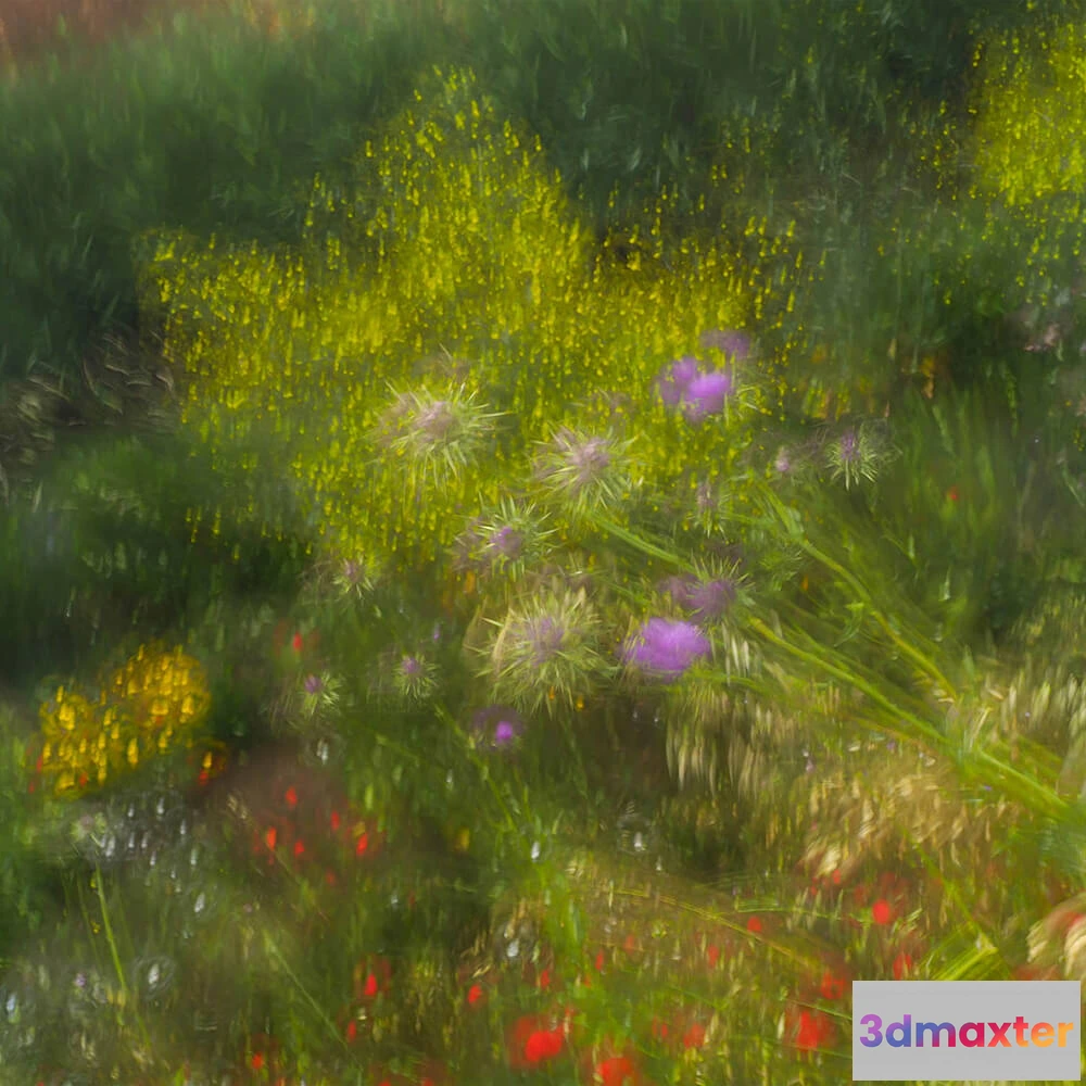 1682452 - Styl’editions - Wallpaper Armonie di Forme Incerte 3D Max