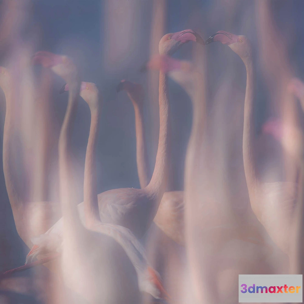 1682468 - Styl’editions - Wallpaper Evanescenze in Rosa 3D Max