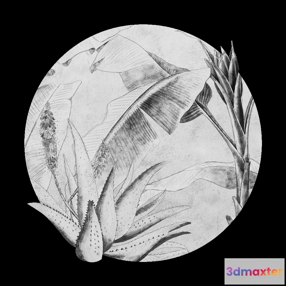 1683764 - Wall Art - Wallpaper Rainforest Sketch round 3D Max