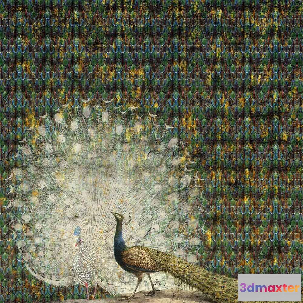 1684111 - Wall Art - Wallpaper Peacock 3D Max