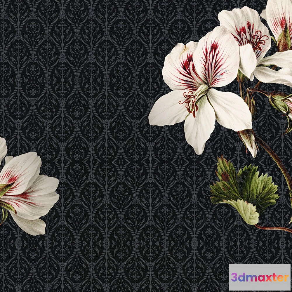 1684143 - Wall Art - Wallpaper Obsession 3D Max