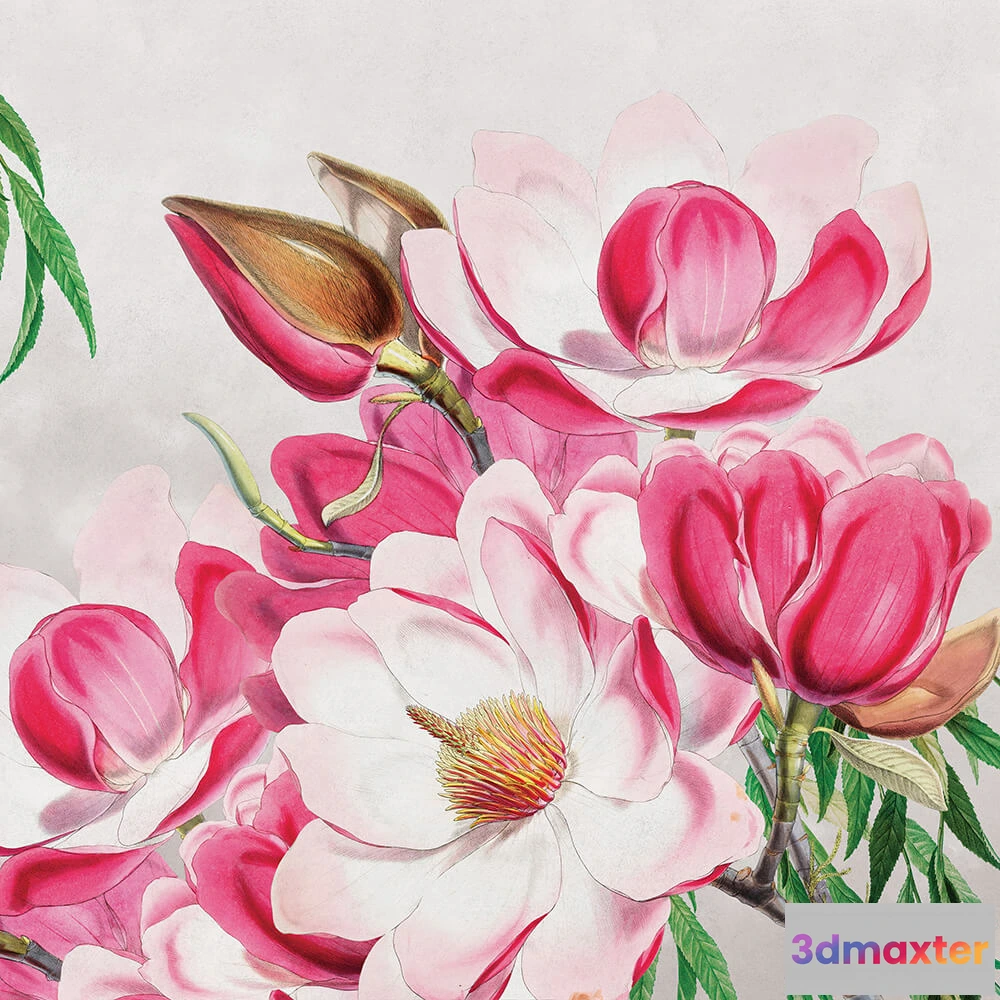 1684151 - Wall Art - Wallpaper Magnolia 3D Max