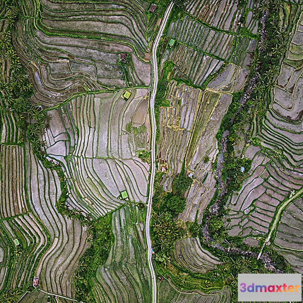 1684643 - Wall Street - Wallpaper Bird See 3D Max