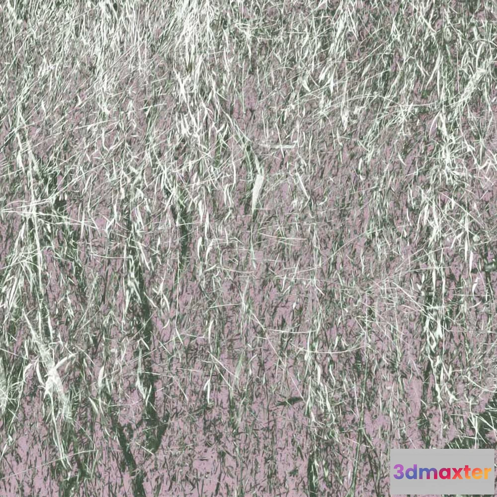 1684849 - WallPepper - Wallpaper Branches 3D Max