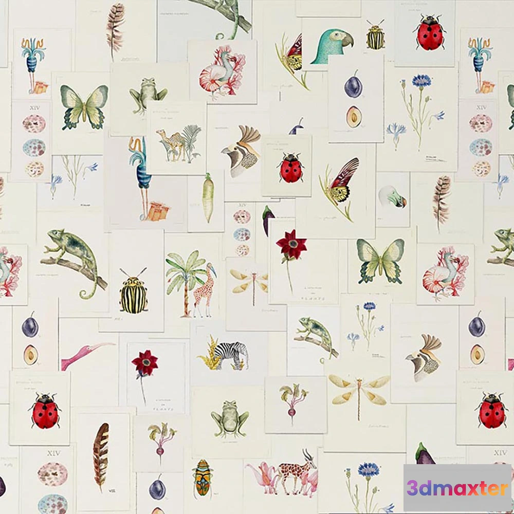 1685275 - WallPepper - Wallpaper Pictionary 3D Max