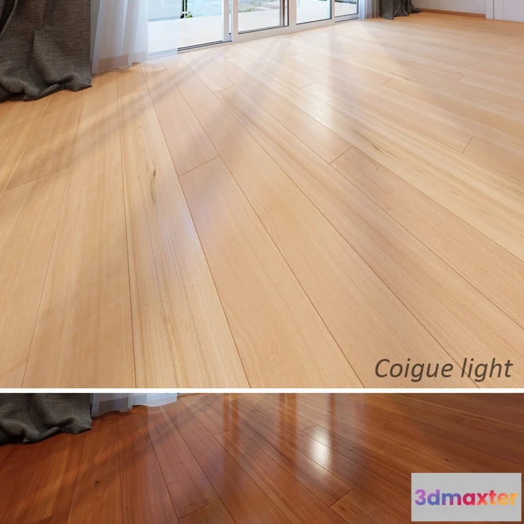 1392134 - coigue_coigue_light 3D Max