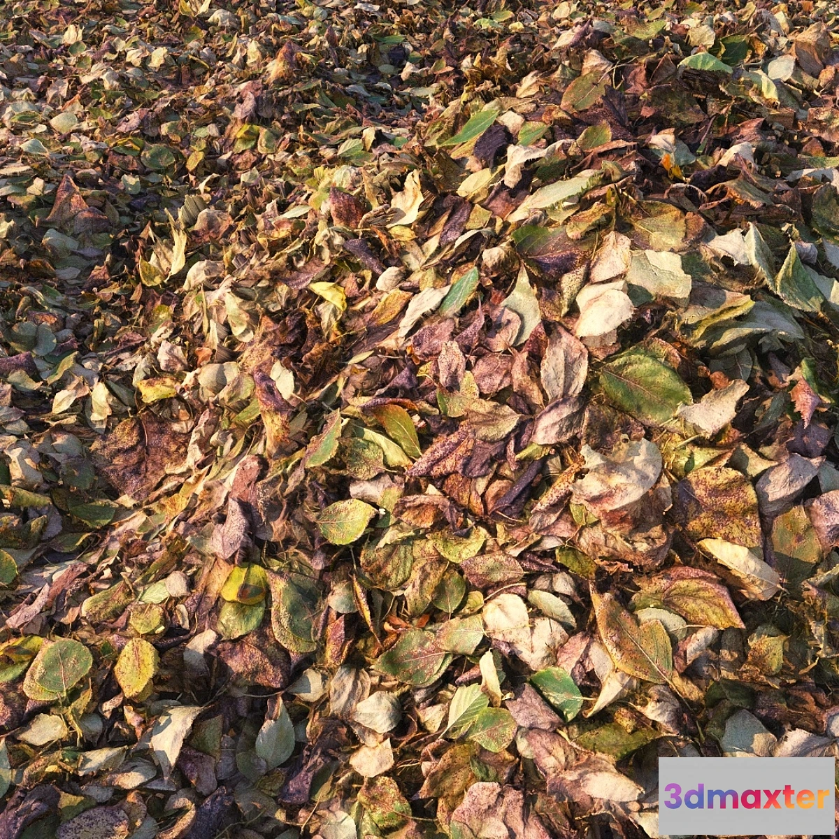 1422580 - Autumn foliage (material) 3D Max